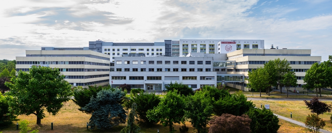 Stellvertretende Stationsleitung (m/w/d) für das Kopfzentrum (Neurochirurgie/Neurologie/Schmerzklinik), 2. Bild